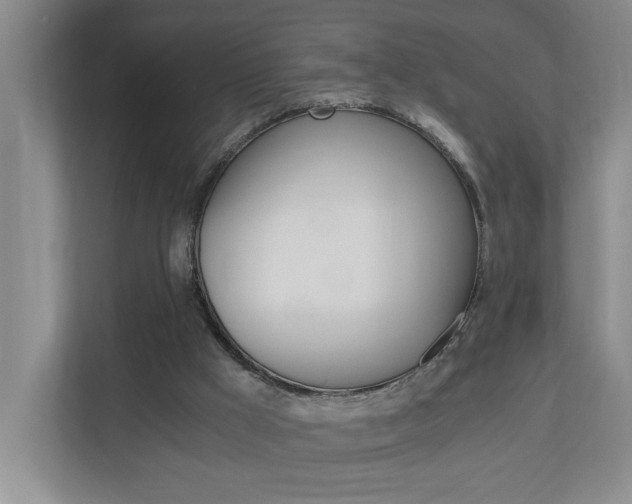 X0000110990009200906191119