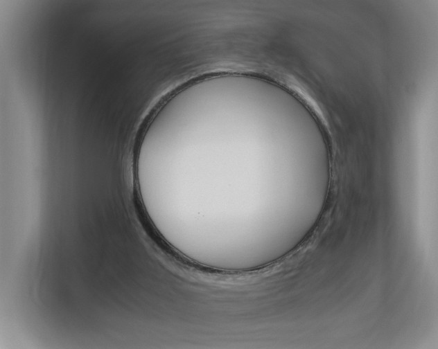 X0000110990011200906191119