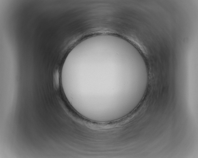 X0000110990014200906191119