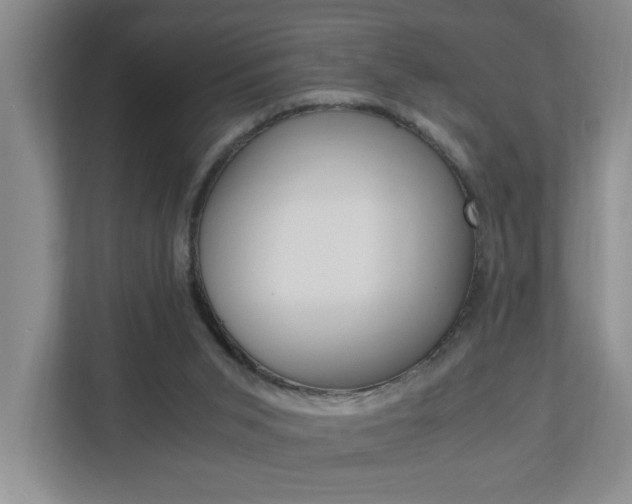X0000110990015200906191119