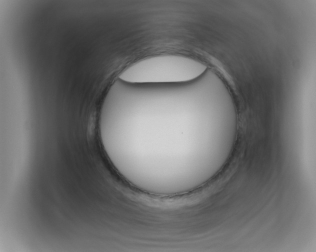 X0000110990018200906191119