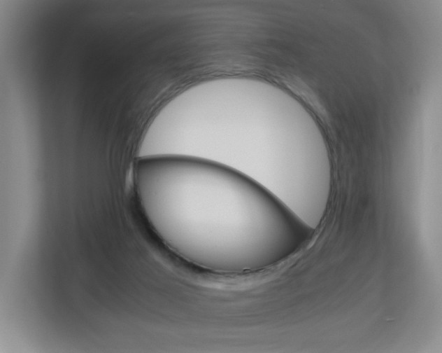 X0000110990021200906191119