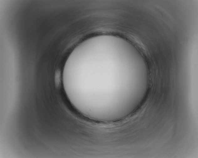 X0000110990024200906191119