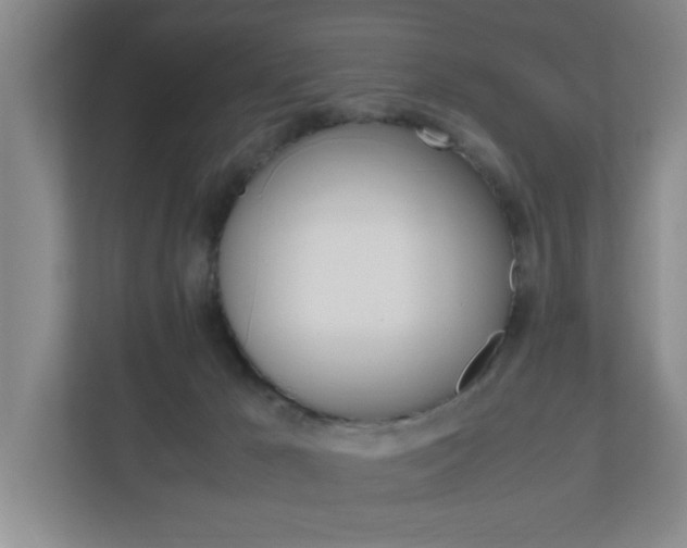X0000110990029200906191119