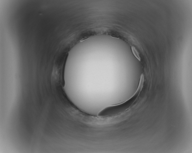 X0000110990037200906191119