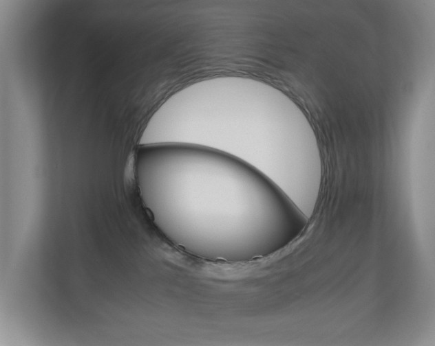 X0000110990041200906191119