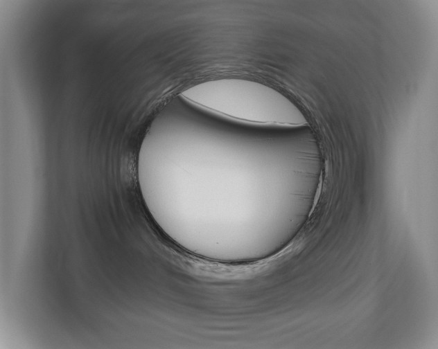 X0000110990048200906191119