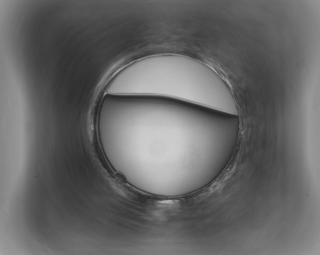 X0000110990053200906191118