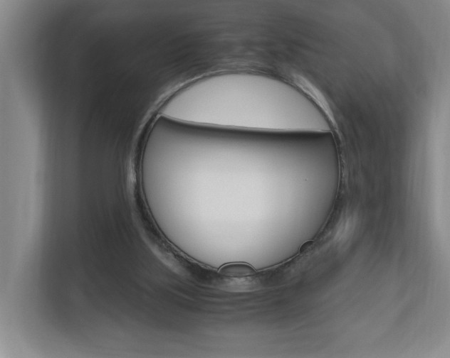 X0000110990059200906191118