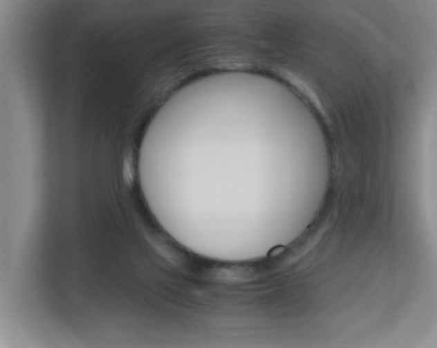 X0000110990069200906191118
