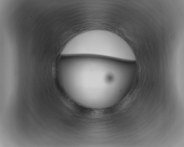 X0000110990080200906191119