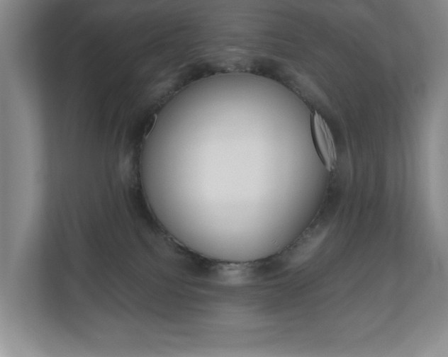 X0000110990088200906191119