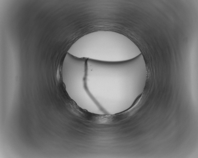 X0000110990094200906191119