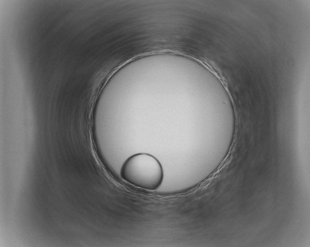 X0000110990097200906191118