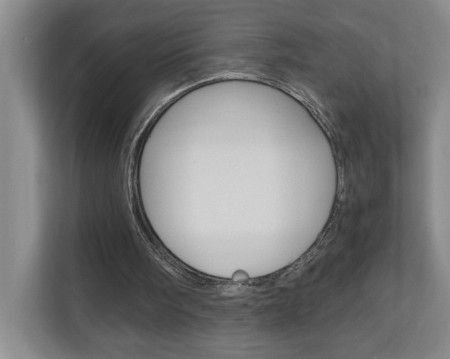 X0000110990098200906191118