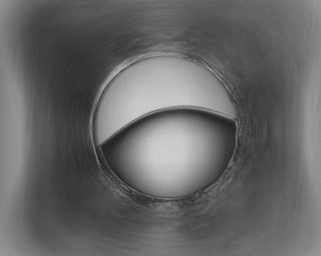 X0000110990100200906191118