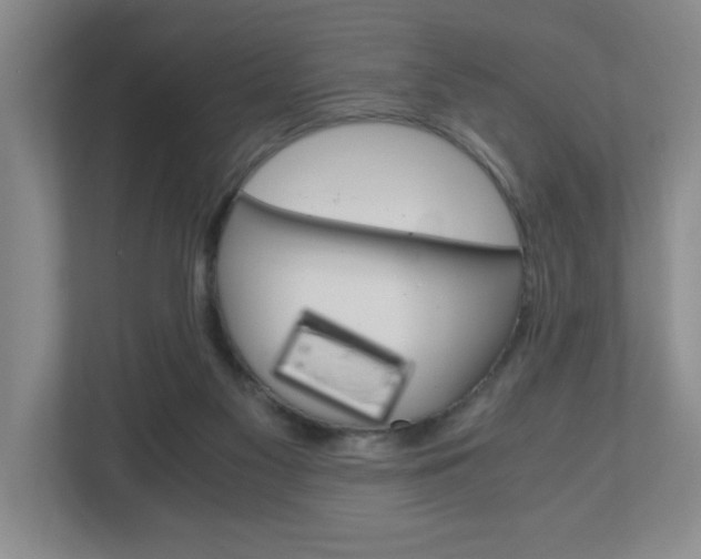 X0000110990117200906191118