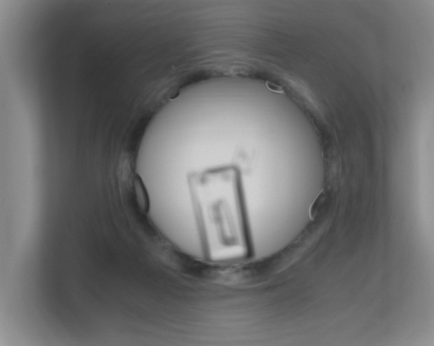 X0000110990121200906191118