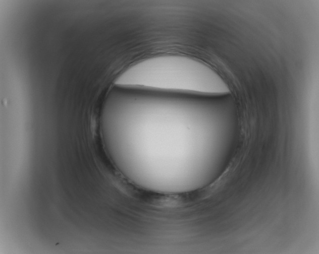 X0000110990124200906191118