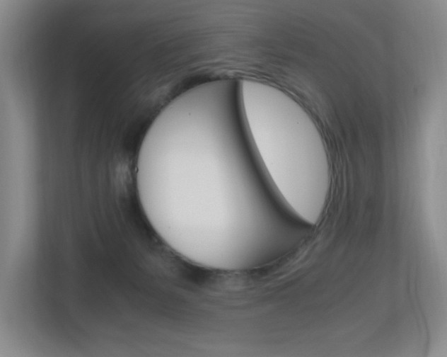 X0000110990127200906191118
