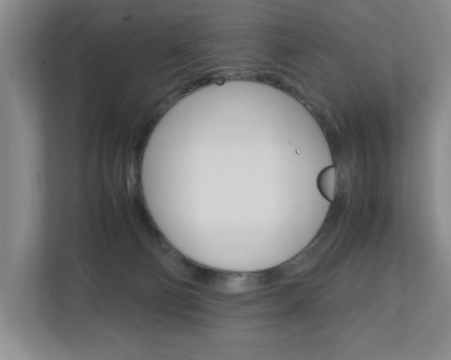 X0000110990130200906191118
