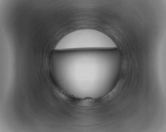 X0000110990136200906191118
