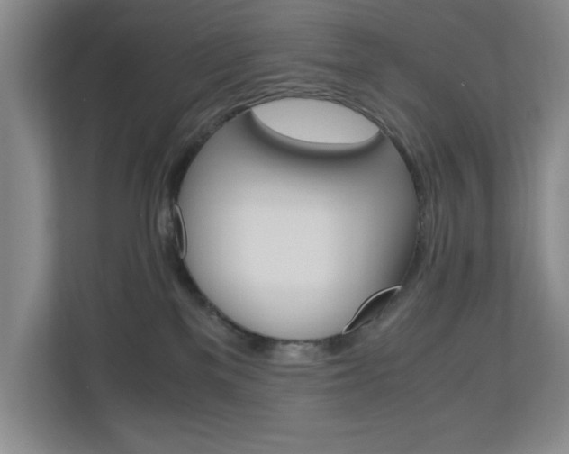 X0000110990137200906191118