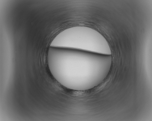 X0000110990139200906191118