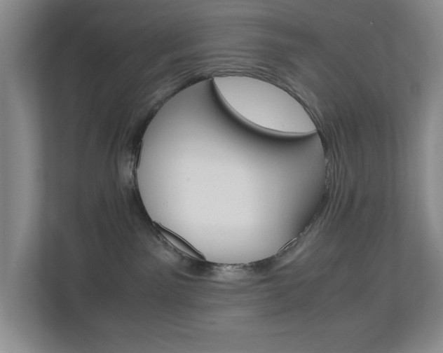X0000110990141200906191118