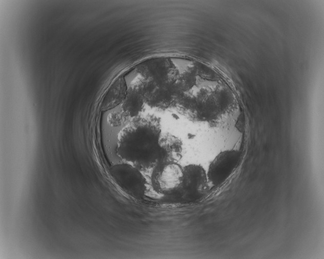 X0000110990145200906191117