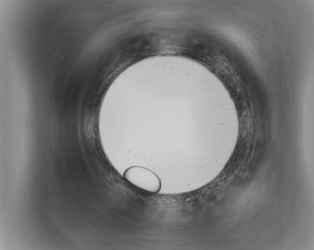 X0000110990146200906191117