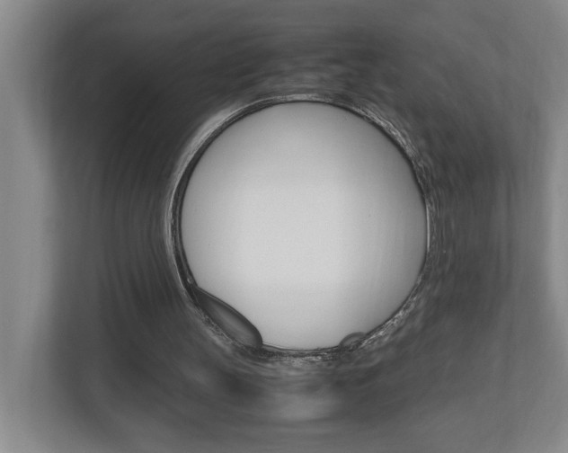 X0000110990147200906191117