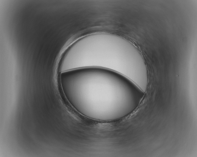 X0000110990150200906191117