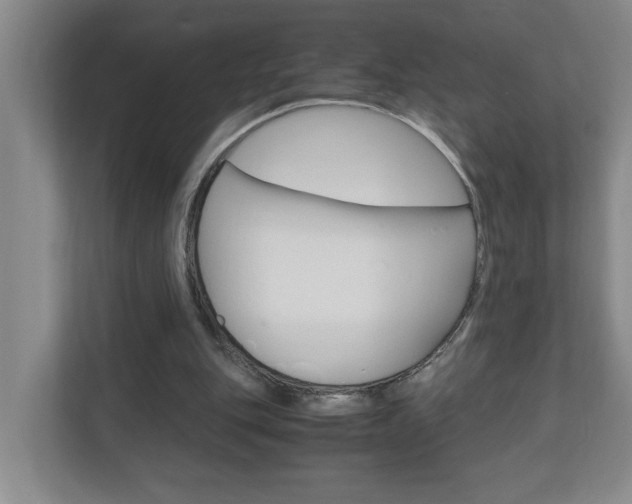 X0000110990151200906191117