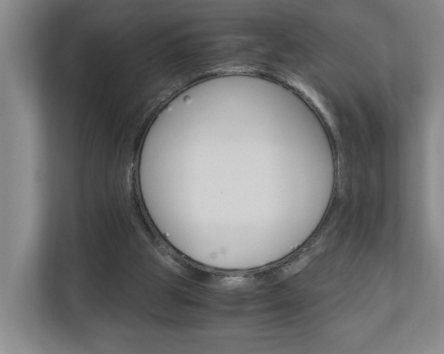 X0000110990153200906191117