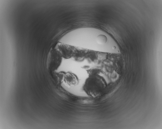 X0000110990165200906191117
