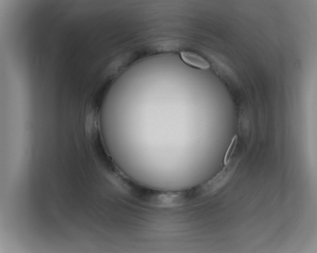 X0000110990172200906191117