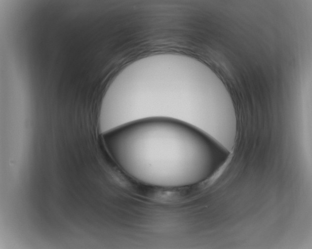 X0000110990174200906191117