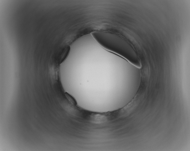 X0000110990180200906191117
