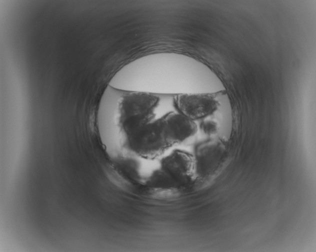 X0000110990185200906191117