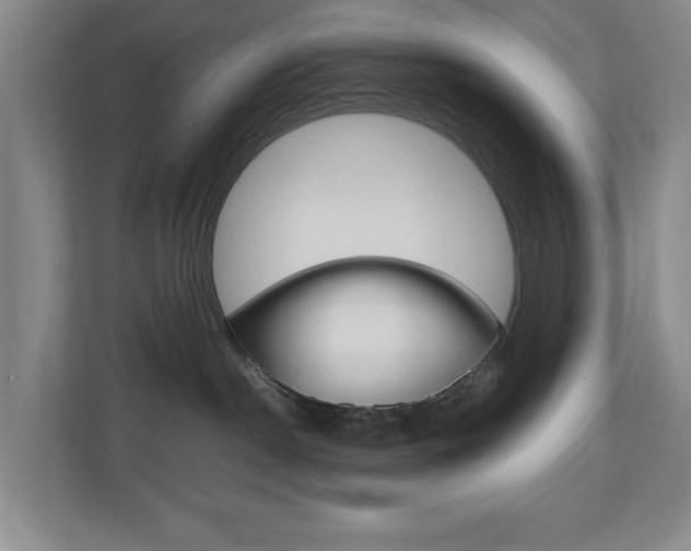X0000110990190200906191118