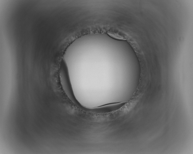 X0000110990192200906191118