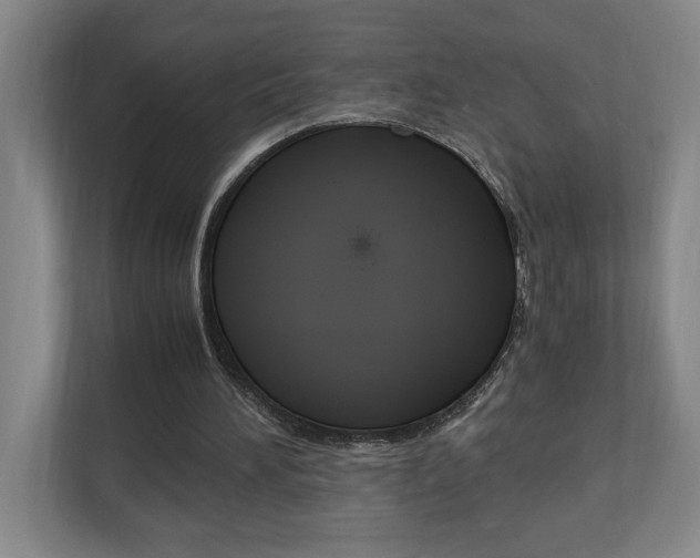 X0000110990196200906191117