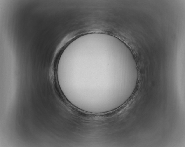 X0000110990198200906191117
