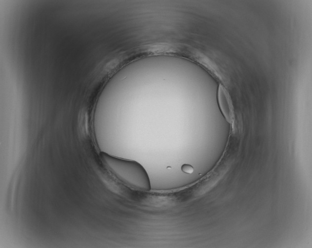X0000110990205200906191117