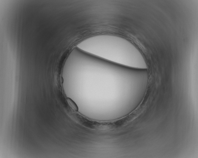 X0000110990209200906191117