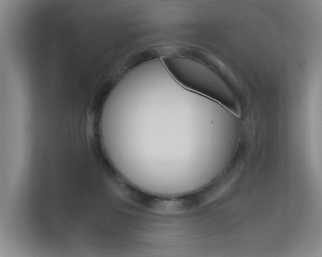 X0000110990217200906191117