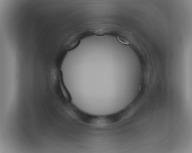 X0000110990219200906191117