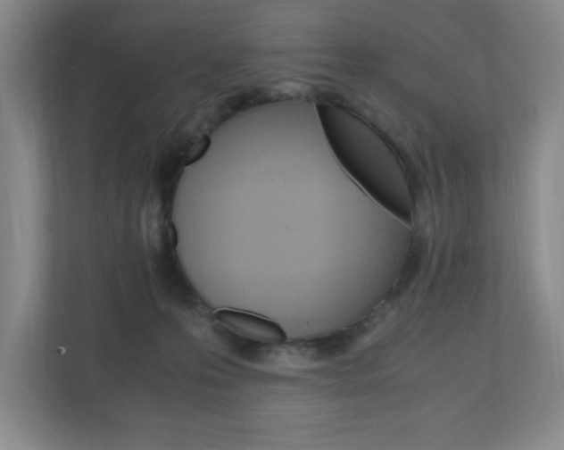 X0000110990223200906191117