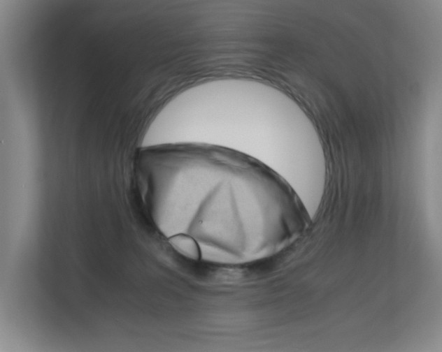 X0000110990227200906191116